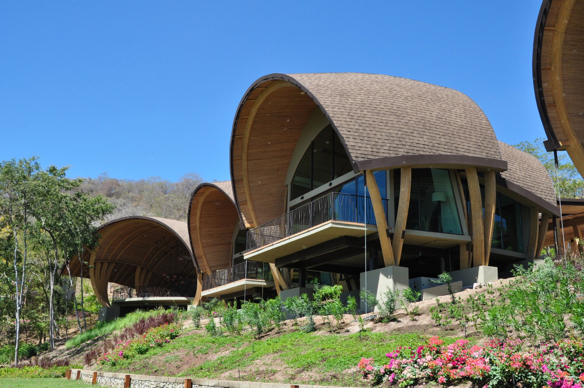 Curved Roof