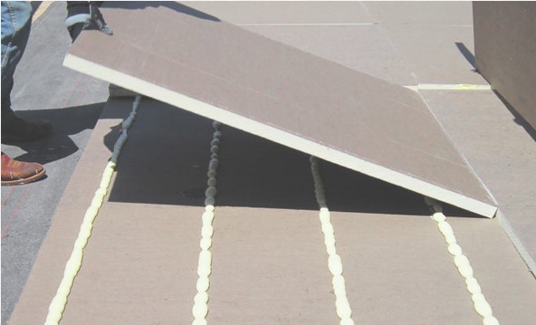Roof protection board for flat roofs