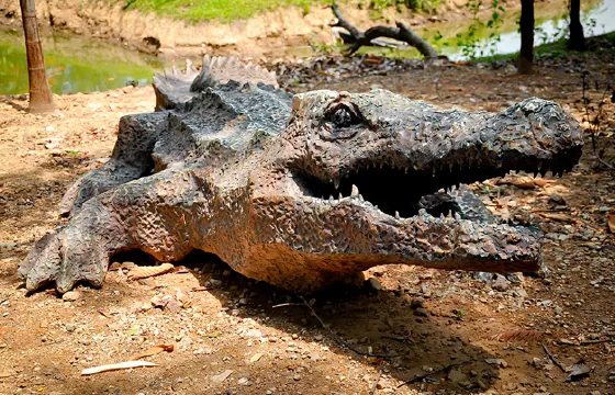 decoy crocodiles to scare birds away from roof