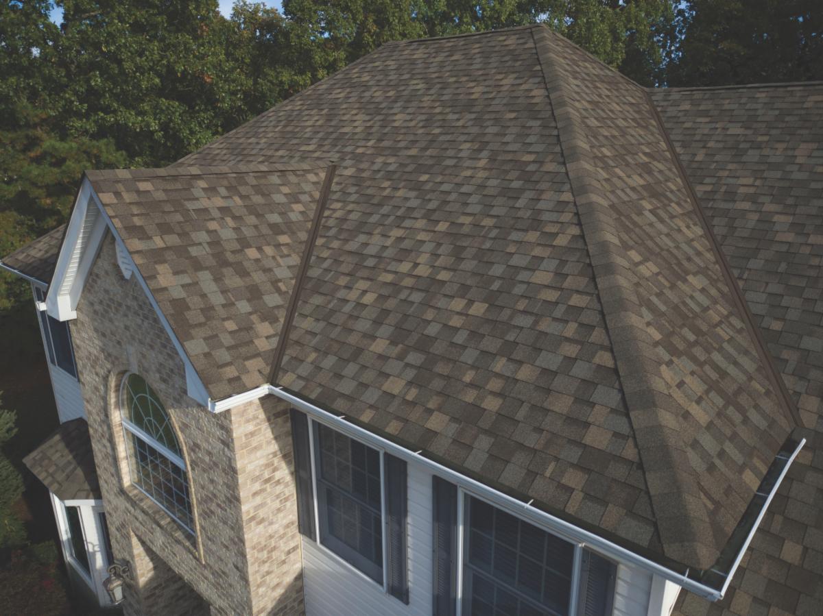 Dynasty Shingles