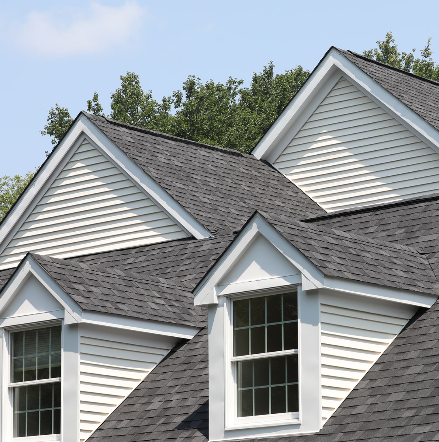 Dynasty Performance Shingles