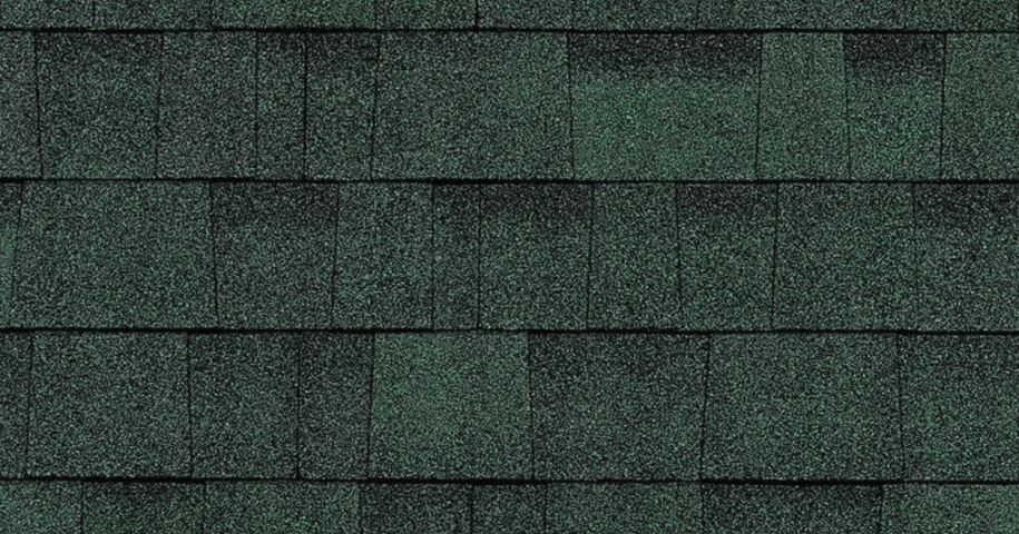 Close-up of a green asphalt shingle roof showing a uniform pattern and texture.