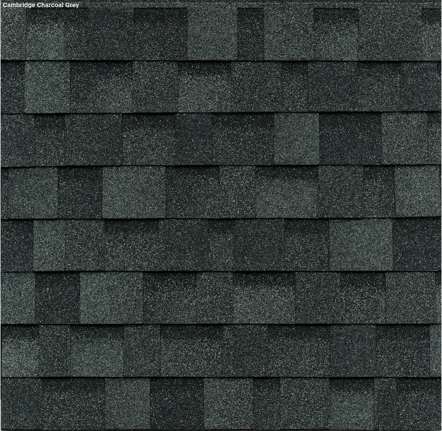 Cambridge Architectural Shingles