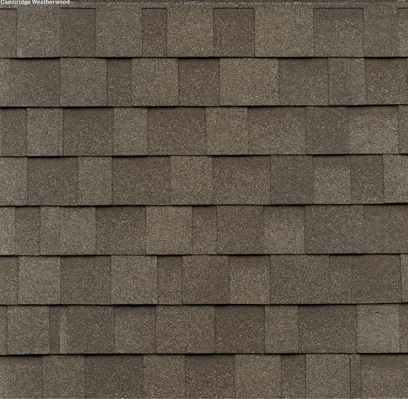 Dynasty Cool Colors Plus Performance Shingles