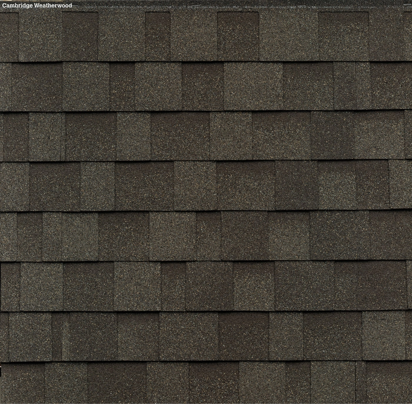 Cambridge Architectural Shingles