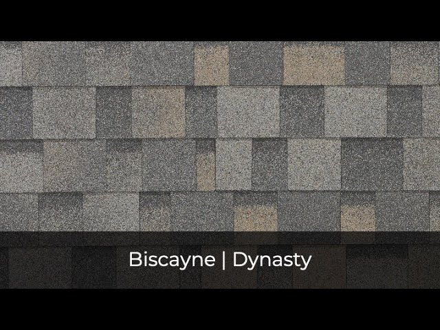 Close-up of a textured gray and beige shingle roof, showcasing the IKO Roof Shingle Colors. A label "Biscayne | Dynasty" at the bottom highlights its performance.