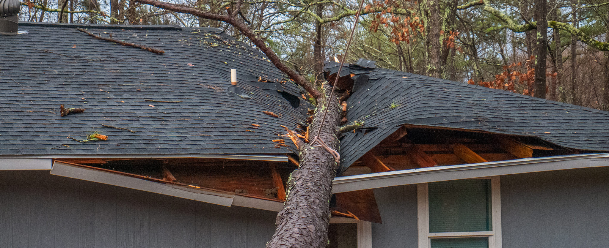 How To Avoid Roof Damage From Trees Deal With A Fallen Tree Iko