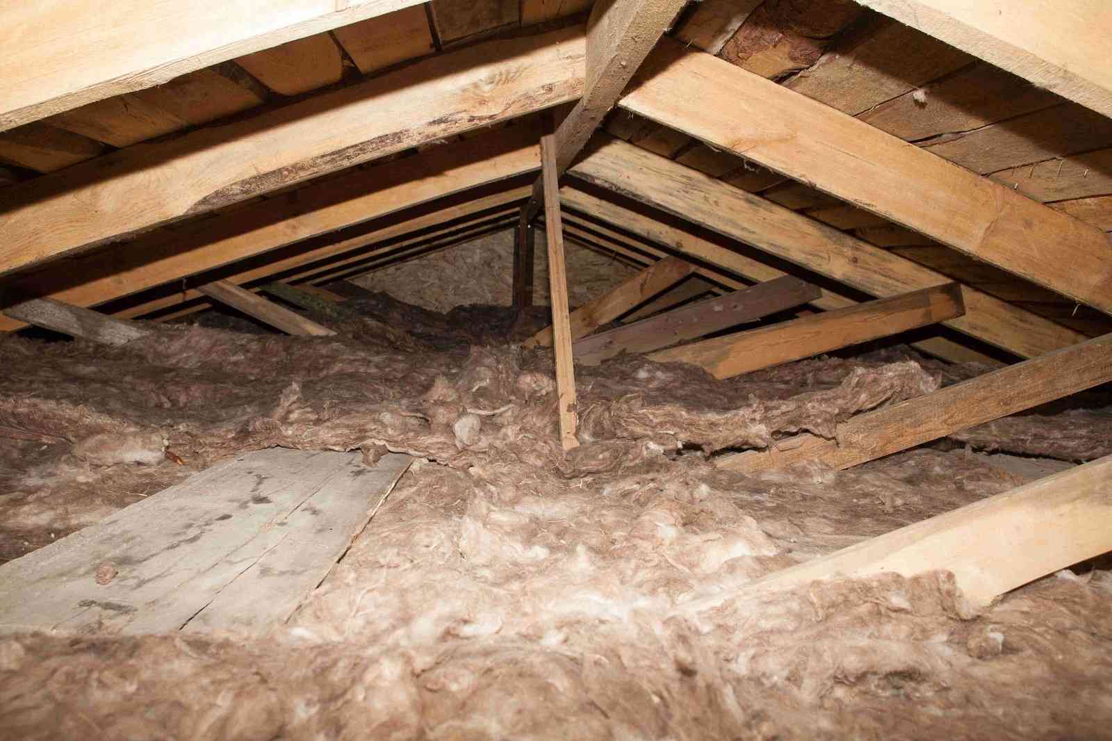 attic insulation and roof rafters