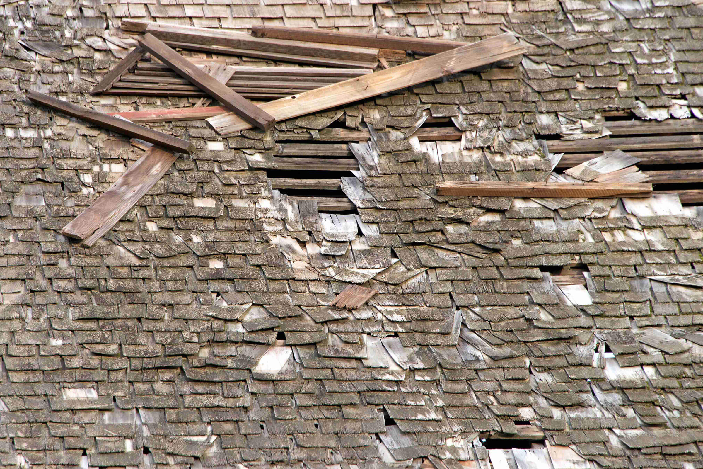 What is Wood Rot & When to Replace Roof Sheathing - IKO